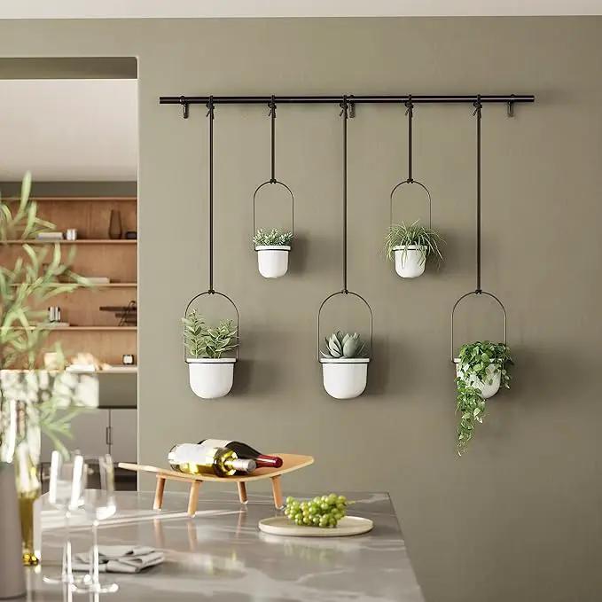 Umbra Triflora Hanging Planter for Window, Indoor Herb Garden, Set of 5, White/Black by GreenHaven Gardens