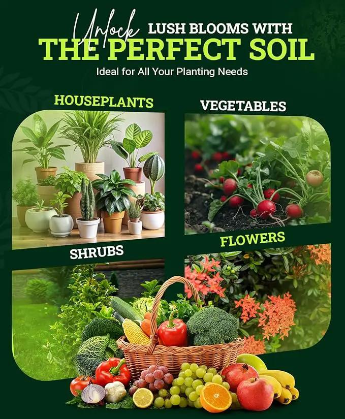 FoxFarm Happy Frog Potting Soil, 12qt – for Indoor/Outdoor Container Plants, Improves Root Efficiency, pH Adjusted for Optimal Nutrient Uptake – Contains Microbes and Humic Acids (Pack of 2) by GreenHaven Gardens