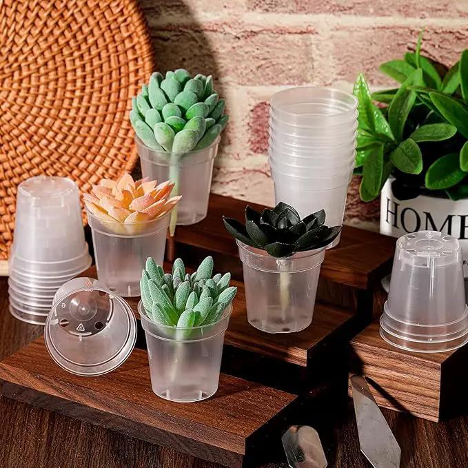 Yaomiao 200 Pcs 2 Inch Clear Mini Plastic Plant Pot Nursery Seedling Pots Seed Starter with Drainage Holes for Indoor Outdoor Garden Succulent Plants Cuttings Transplanting by GreenHaven Gardens