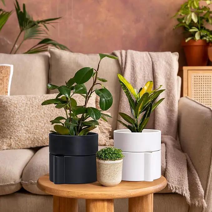 Phoenix Vine 6.5 Inch Self-Watering Planter Pot with Terracotta Insert, Deep Water Reservoir, and Ceramic-Alike BPA-Free Plastic Pot for Plant, Modern Planter for Houseplants, White, 53-A-S-1 by GreenHaven Gardens