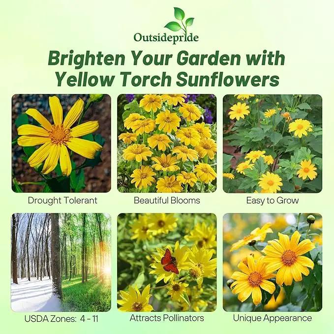 Outsidepride Yellow Torch Mexican Sunflower Seeds - 500 Pcs Annual, Easy-to-Grow, Yellow Tithonia Speciosa Flower Seeds w/Drought-Tolerant Blooms for Pollinator Gardens & Vibrant Summer Landscaping by GreenHaven Gardens