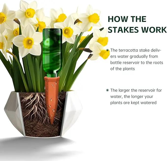 Large Terracotta Watering Spikes with Lids, Automatic Plant Waterer Outdoor | Indoor, Vacation Friendly Clay Plant Watering Devices System, Slow Release Self Watering Planter Insert, 6 Pack by GreenHaven Gardens