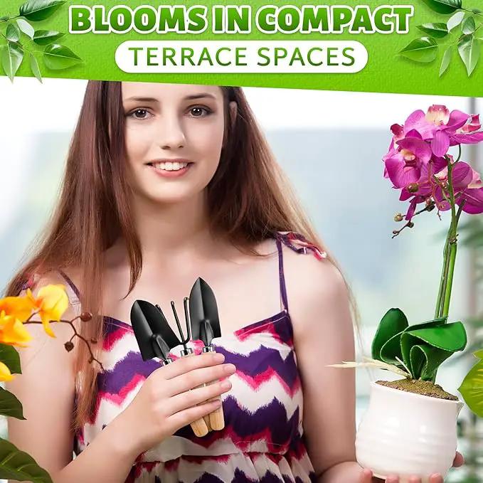Hand Shovel for Gardening Trowel Garden Tool - 3Pcs Planting Tools Small Garden Rake Ergonomic Hand Tools Set Edging Shovel Indoor Plants Tools - Gardening Tools Heavy Duty Shovel Garden Tool Set by GreenHaven Gardens