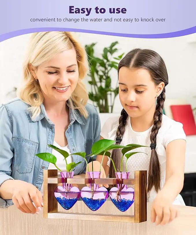 Nacome Plant Terrarium for Office Decor: Birthday Gifts for Plant Lovers Women Mom Wife - Wooden Stand Tabletop Planter 3 Bulb Glass Vase Heart Shaped for Hydroponics Indoor Home(Purple) by GreenHaven Gardens
