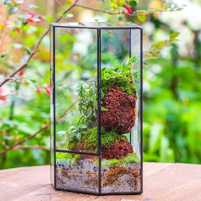 NCYP Wall Corner Geometric Glass Terrarium, Closed Front Opening Door Container Planter for Succulents, Small Plants - Black, Indoor Decor, Tabletop Landscape, 6.1" x 6.1" x 11.8" (Terrarium Only) by GreenHaven Gardens