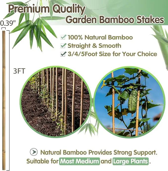 Bamboo Stakes,3FT Natural Bamboo Garden Stakes,BOVITRO 25Pcs Bamboo Plant Stakes,Bamboo Sticks for Tomato,Beans,Vegetable and Climbing Plants by GreenHaven Gardens