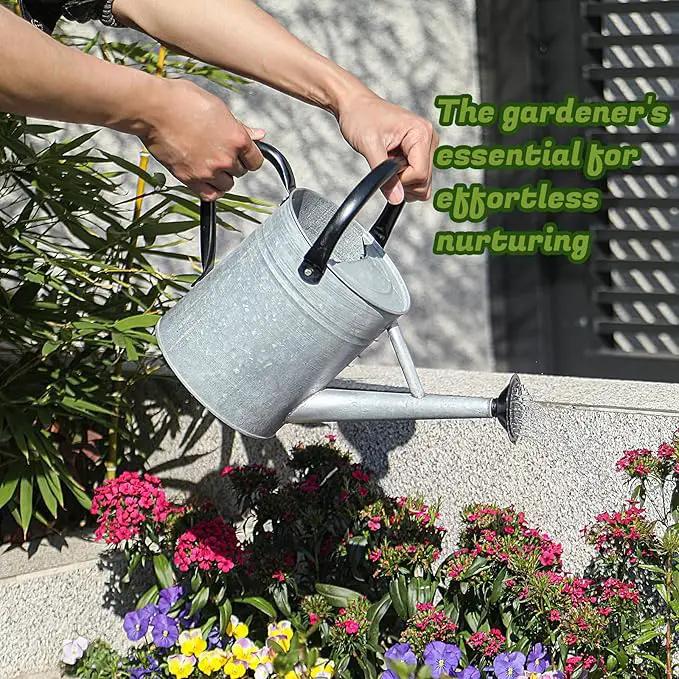 1 Gallon Watering Can for Plants, Watering Cans for Indoor&Outdoor Gardening, Galvanized Steel Watering Pot with Removable Spout, Metal Water Can with Ergonomic Movable Handle(Rustic Silver) by GreenHaven Gardens