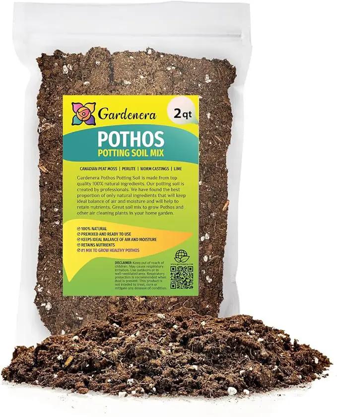 Premium Pothos Potting Soil Mix - Air Cleaning Plant Potting Mix, Soil Mix for Pothos, Parlor Palm, Peace Lily - (2 Quart Bag) by GreenHaven Gardens