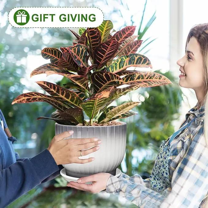8 Inch Plant Pot, Ceramic Planter with Drainage and Saucer, Ceramic Pots for Plants, Indoor Plant pots,Ceramic Flower pots(Gray + White, Plants NOT Included) by GreenHaven Gardens