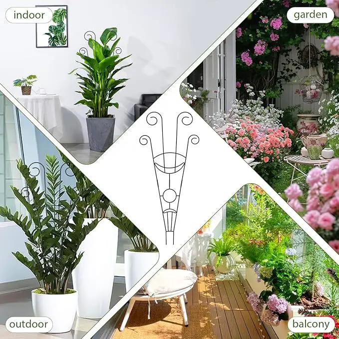 ZOUTOG Trellis for Climbing Plants Indoor 30 Inch, Houseplant Trellis for Potted Plants Metal 4Pcs for Vine Ivy Flower Support,Moon Shape,Black by GreenHaven Gardens
