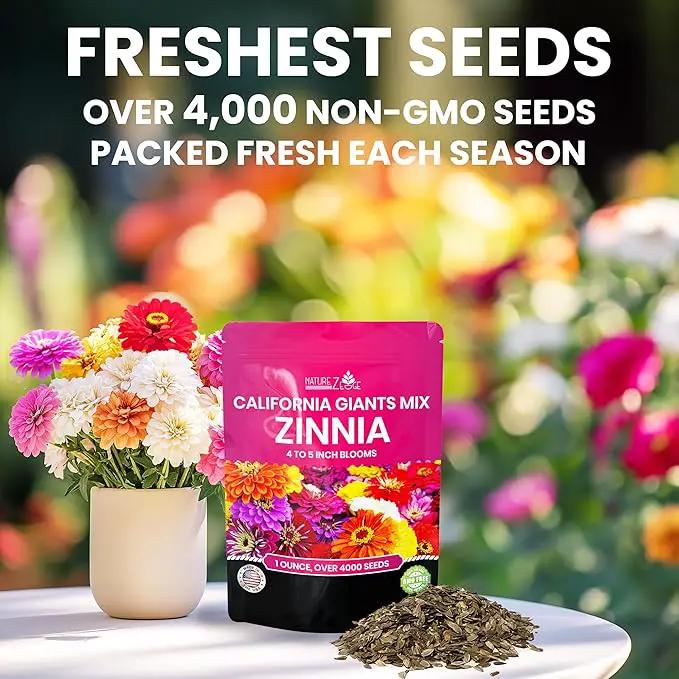 NatureZ Edge Zinnia Seeds for Planting Outdoors – California Giants Flower Seeds, Bulk Semillas de Flores para Sembrar, 1 Oz by GreenHaven Gardens
