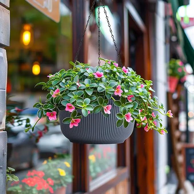 T4U 12 Inch Large Hanging Planters for Outdoor Plants, 2 Pack Self Watering Hanging Pots Indoor, Hanging Baskets for Plants,Hanging Flower Pot with Drainage Hole and Plant Hanger, Grey by GreenHaven Gardens