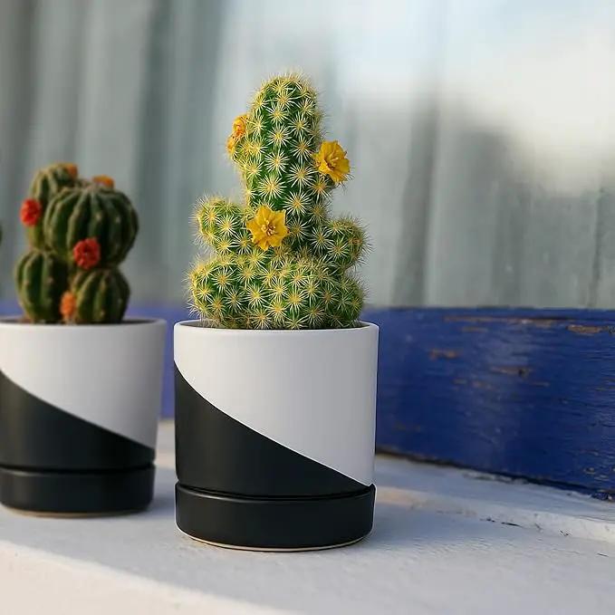 D'vine Dev 3.5 Inch Ceramic Planter Pot with Drainage Hole and Saucer, Indoor Cylinder Round Planter Pot, Oblique Monochrome Black and White, 94-O-A-K by GreenHaven Gardens