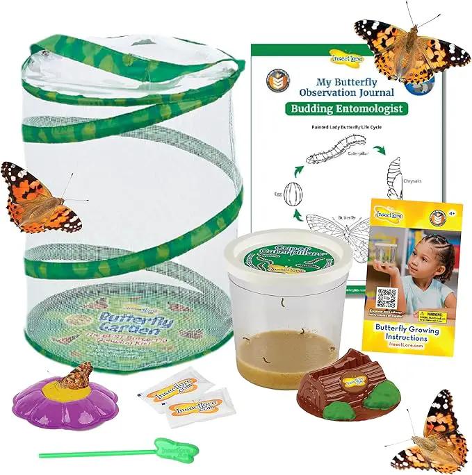 Insect Lore Butterfly Garden with 5 Live Baby Caterpillars - STEM Activity Journal, Habitat, Chrys-A-Lid Holder and Feeder Included | Raise and Release Painted Lady Butterflies by GreenHaven Gardens
