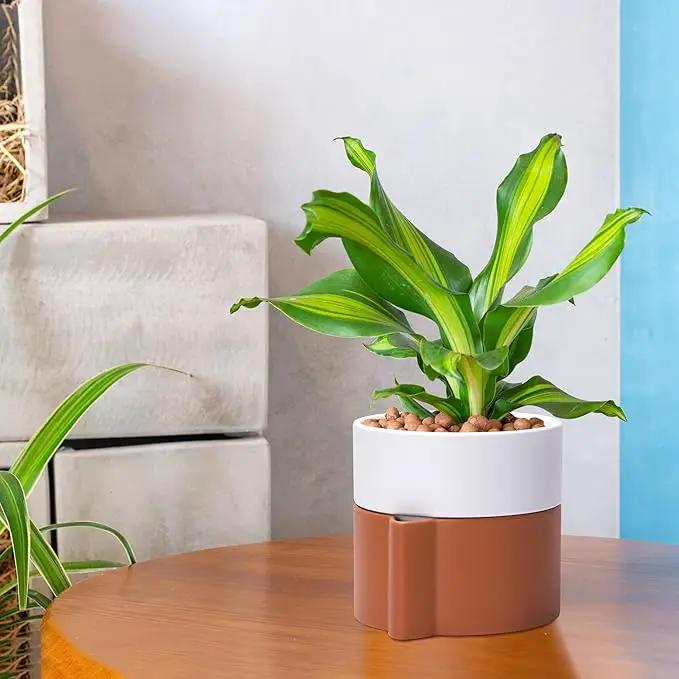 6.5 Inch Self-Watering Planter Pot with Terracotta Insert, Deep Water Reservoir, and Ceramic-Alike BPA-Free Plastic Pot for Plant, Modern Planter for Houseplants, Terracotta/White, 53-B-S-6 by GreenHaven Gardens