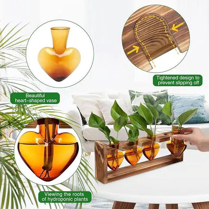 Plant Propagation Stations Heart Plant Terrarium Kit Gift for Women Plant Lover Glass Vases by GreenHaven Gardens