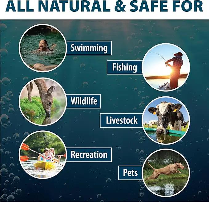Airmax Black DyeMond Pond Dye Packets Natural Water Colorant for Ponds, Beneficial UV Blocking Color Concentrate, Fish, Bird & Animal Safe, 16 Packet by GreenHaven Gardens