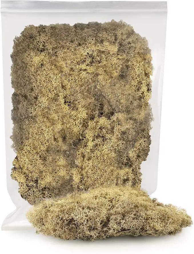 Premium Preserved Reindeer Moss for Potted Plants, Terrariums, Fairy Gardens, Arts and Crafts or Floral Decor Design in Natural (5 Quart Bag) by GreenHaven Gardens