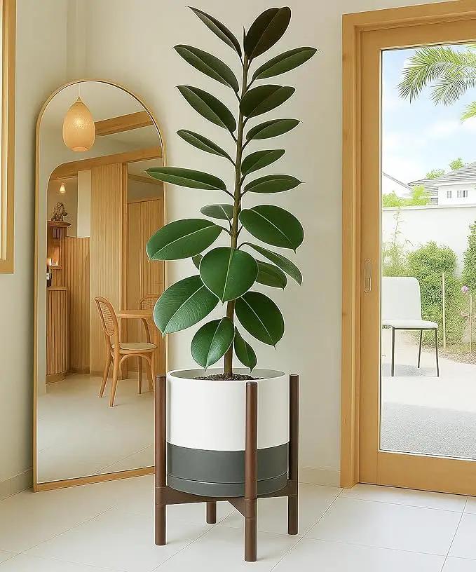 D'vine Dev Ceramic Planter with Walnut Color Stand - 12 Inch Modern Round Flower Pot with Wood Planter Holder, White/Grey, 55-B-W-6 by GreenHaven Gardens