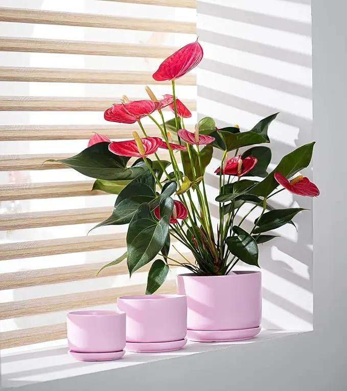 Ton Sin Plant Pots, 4.1+5.1+6.5 inch, Set of 3, Ceramic Planters with Drainage Hole and Saucer, Indoor Flower Pot with Hole Mesh Pad, Gifts for Mom(Matte Pink) by GreenHaven Gardens