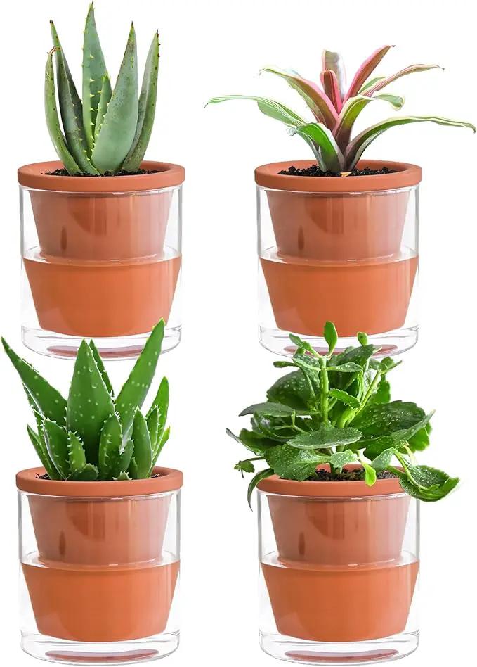 D'vine Dev 4 Inch Design Self Watering Planter for Indoor Plants, Terracotta Pot with Cylinder Glass Cup, Set of 4, 37-X-A-4 by GreenHaven Gardens