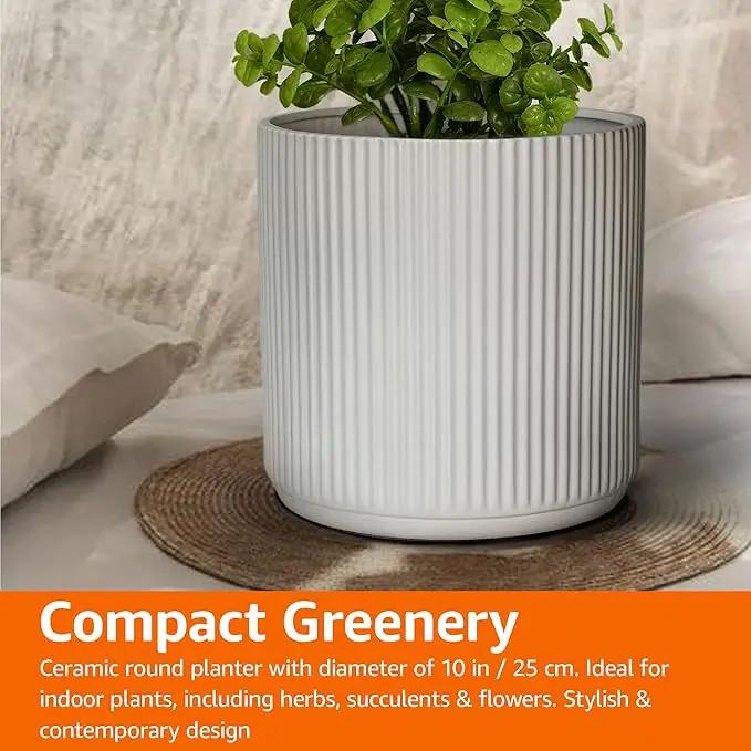 Amazon Basics Fluted Ceramic Round Planter, 10 in, White by GreenHaven Gardens