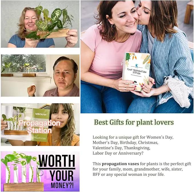 KAXYEW Plant Propagation Station, Plants Propagation Tubes, Gifts for Plant Lovers, Plants Cutting Holder Test Tube Vase Office Desk Garden Décor Gift for Her Mom Women Hydroponic Vase Gift Box by GreenHaven Gardens
