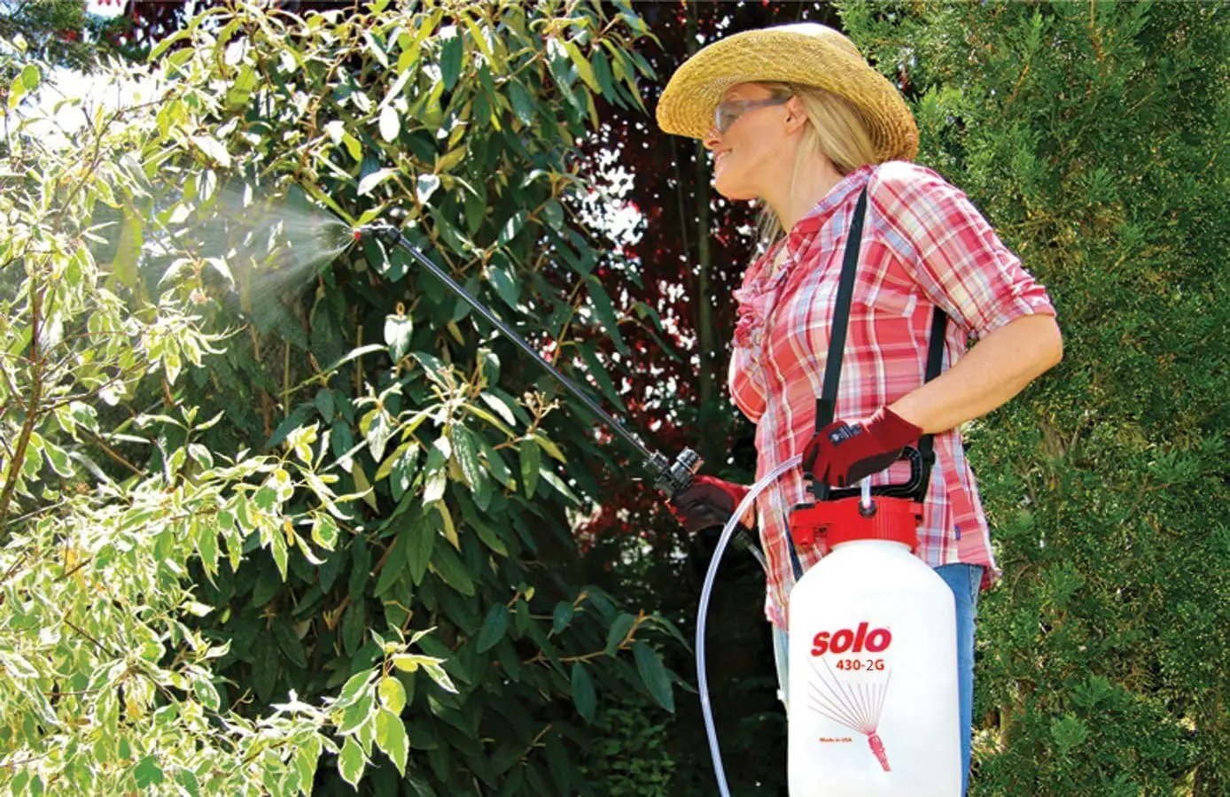 Solo 430-2G 2-Gallon Farm and Garden Sprayer with Nozzle Tips for Multiple Spraying Needs by GreenHaven Gardens