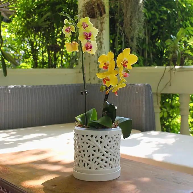 Large Ceramic Orchid Pot with Holes, 6 Inches Wide, for Indoors or Outdoors with Woven String Cut Out Design, Orchid Planters by GreenHaven Gardens