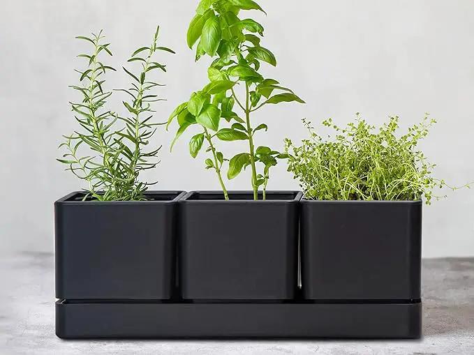 D'vine Dev Herb Garden Planter Set, Plastic Plant Pots with Drainage and Saucer, Indoor Succulent Cactus Vegetable Pot for Windowsill, Garden Balcony, Black, Set of 1, 76-V-B-1 by GreenHaven Gardens