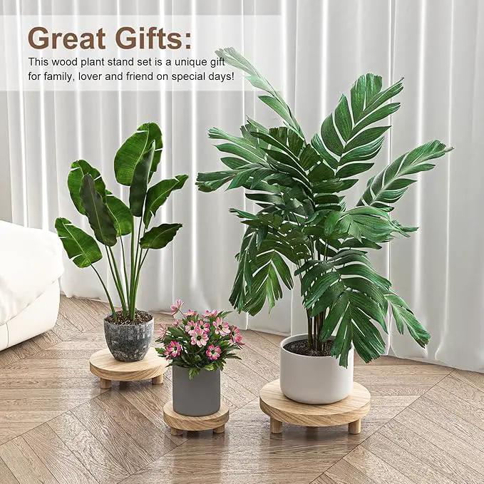3 Pcs Wood Plant Stand Indoor Outdoor, Round Wood Riser for Decor 6/8/10" Wooden Stool Display Stand Flower Pot Holder Small Planter Tray Modern Potter Decorative for Desktop Counter Room (Natural) by GreenHaven Gardens