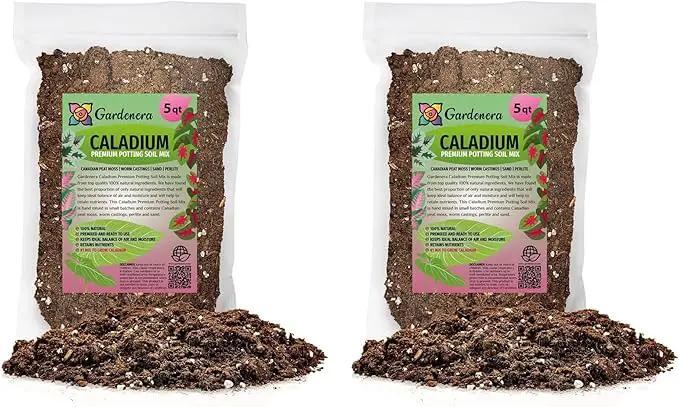 Caladium Plant Potting Soil - All-Natural Blend for Thriving Caladium Plants - Boosts Root Health and Foliage - 10 Quart by GreenHaven Gardens