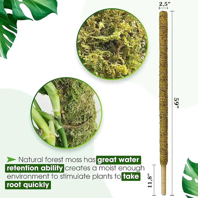 DUSPRO 59 Inches Non-Bendable Pole for Big Plants, Large Moss Pole for Plants Monstera, Plant Stakes for Indoor Plants, Monstera Plant Support, Plant Pole for Big Climbing Plants Indoor (1pc., 59'') by GreenHaven Gardens
