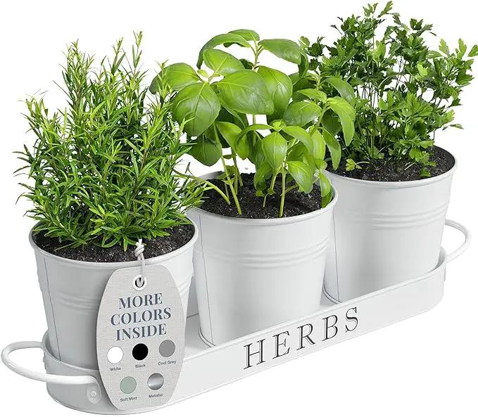 Barnyard Designs Indoor Herb Garden Planter Set with Tray, Metal Windowsill Plant Pots with Drainage for Outdoor or Indoor Plants, Set/3 (White) by GreenHaven Gardens