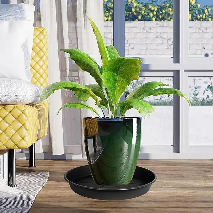 1 Pack of Plant Saucer Tray 8 inch, Heavy Duty Plastic Pot Plant Drip Trays Saucers for for Indoors Outdoor, Plant Water Tray for Planters (8", Black) by GreenHaven Gardens