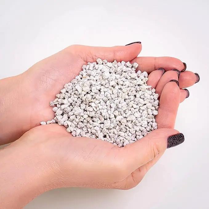 Organic Perlite - Medium/Fine Grade (1 Quart Bag) Horticultural Soil Amendment for Indoor & Outdoor Container Plants for Drainage Management and Enhanced Growth by GreenHaven Gardens