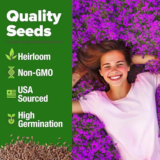Home Grown Purple Creeping Thyme Seeds – Non-GMO Ground Cover Flowers – 22000+ Edible Herb Seeds for Planting Lawns & Paths – 3g Perennial Thymus serpyllum by GreenHaven Gardens