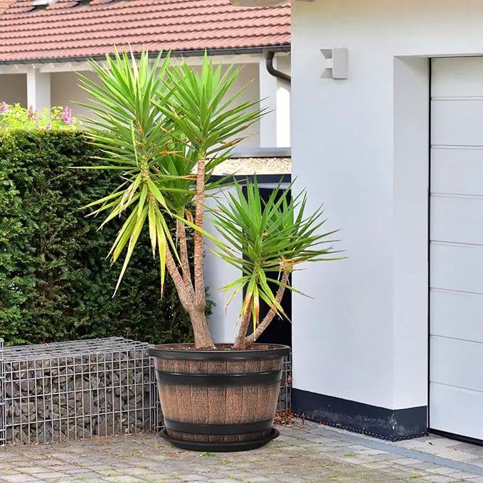 Quarut Large Plastic 4 Pack14 inch Plant Pots,Whiskey Barrel Planters with Drainage Holes & Saucer.Flower Pots Imitation Wine Barrel Design for Indoor & Outdoor Garden Balcony Plants.5 Gallons(Brown) by GreenHaven Gardens