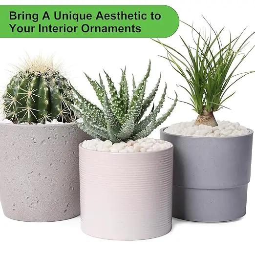 5 lbs White Pebbles for Vases, 3/8" Small Plant Rocks for Pots Indoor, Decorative Pea Gravel for Succulents, Bamboo, Terrarium, Landscape, Garden by GreenHaven Gardens
