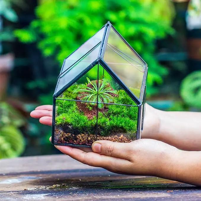 NCYP Mini Glass Geometric Terrarium with Lid - 4.25" x 4.25" x 4.92" Small House Shape Close Planter Pot for Succulents Plant - Handmade, Home Garden Office Tabletop Decor, Black (Terrarium Only) by GreenHaven Gardens
