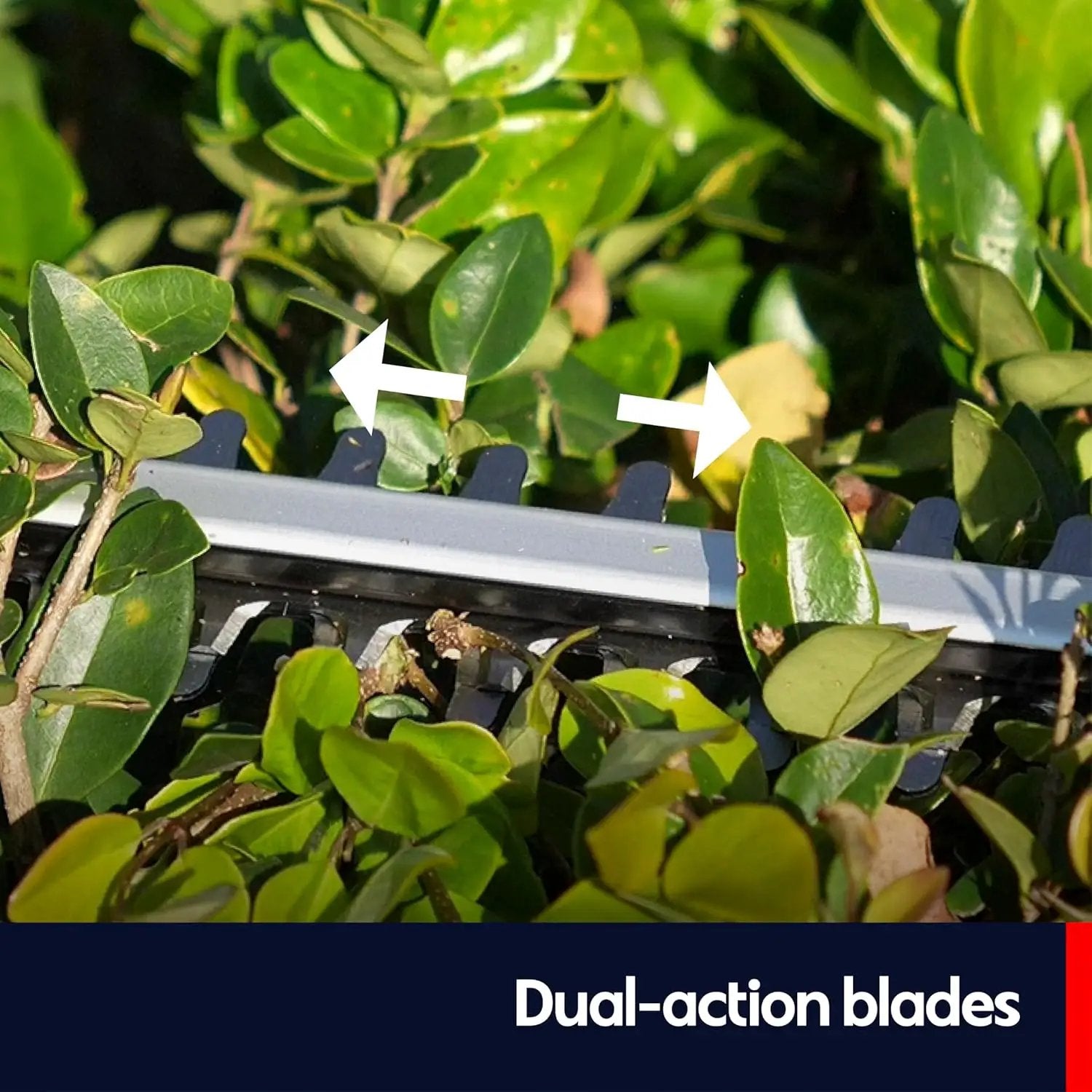 QWD 20v Cordless Hedge Trimmer Powered by Battery(Battery & Charger Included) with 20-Inch Blade & 40-Min Runtime,2200 cuts/Min,Lightweight Aluminum Body for Home Garden by GreenHaven Gardens