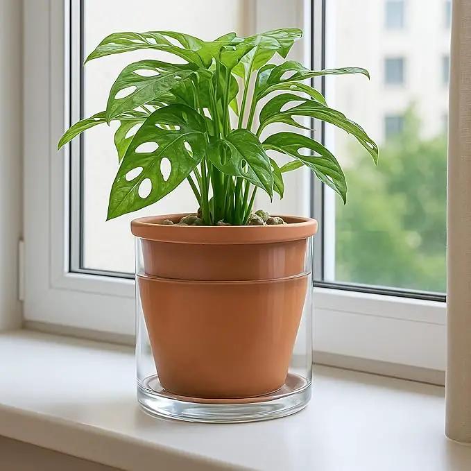 D'vine Dev 6 Inch Design Self Watering Pot for Indoor Plants, Terracotta Planter with Cylinder Glass Cup, Set of 2, 37-Y-B-1 by GreenHaven Gardens