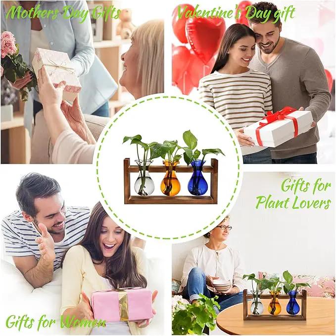 Plant Propagation Station Plant Terrarium Unique Birthday Gifts for Women Plant Lovers Home Office Decor Planter with Wooden Stand - 3 Bulb Glass Vase by GreenHaven Gardens