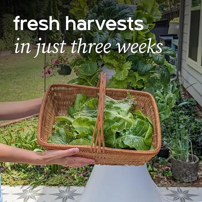 Farmstand Starter Kit + 36 Seedling Credits | Large Hydroponic Growing System Kit | Self-Watering Outdoor Vertical Garden Planter Tower | 6ft 1in | Made in USA by GreenHaven Gardens