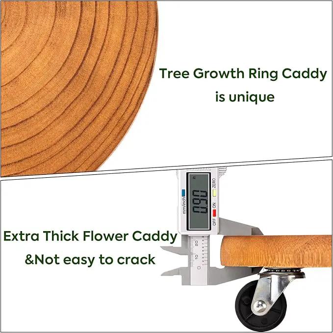 Yangbaga 2Pack 12inches Tree Plant Stand with Wheels,Rolling Plant Caddy with Wheels Heavy Duty- Plant Rollers with Lockable Casters for Outdoor /Indoor/Plant Pot/Flower Pot/Patio by GreenHaven Gardens