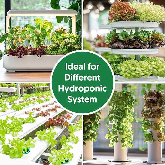 18 Varieties Herb & Vegetable Seeds for Hydroponic, 13000+ Seeds for Indoor Outdoor Garden Planting Home Veggie Herb, Heirloom Non-GMO Culinary Collection Gift Pack by GreenHaven Gardens
