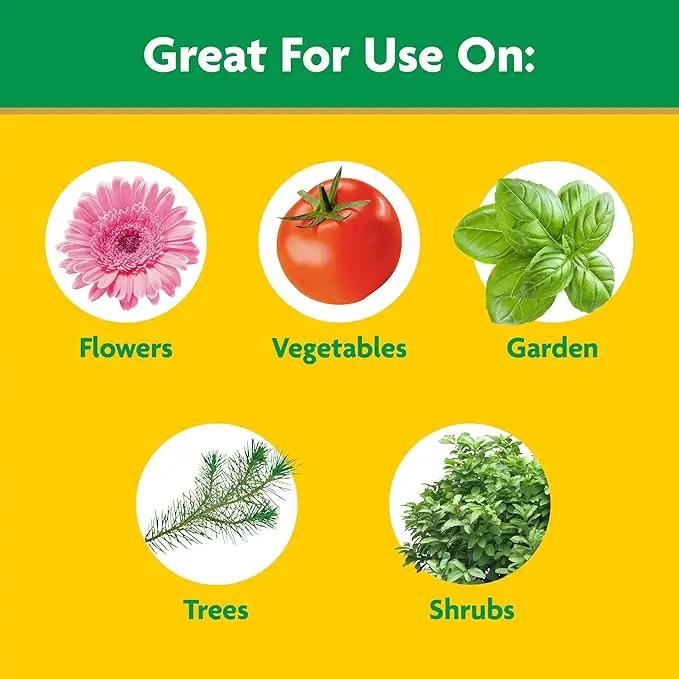 Miracle-Gro Garden Feeder with Water Soluble All Purpose Plant Food, Hose-end Feeder for Outdoor Plants, 1 lb. by GreenHaven Gardens