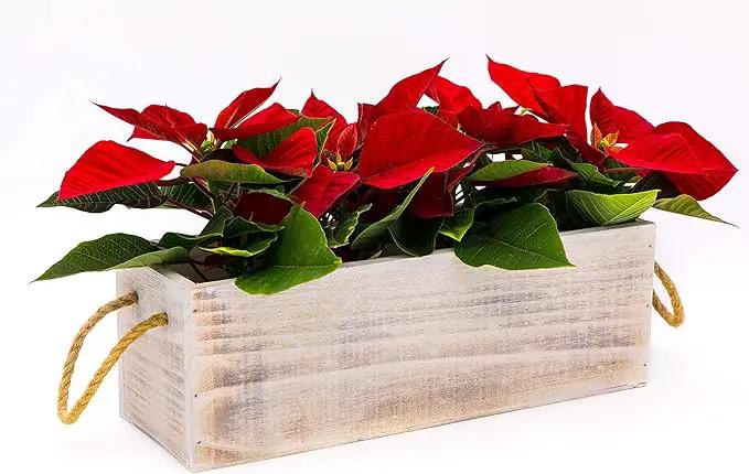 Wooden Planter Box with Handle, Rustic Whitewash, Plastic Liner l Garden Decor l Restaurant and Wedding Decorations l Table Centerpiece (12x4 w Handle Set of 4, Whitewash) by GreenHaven Gardens