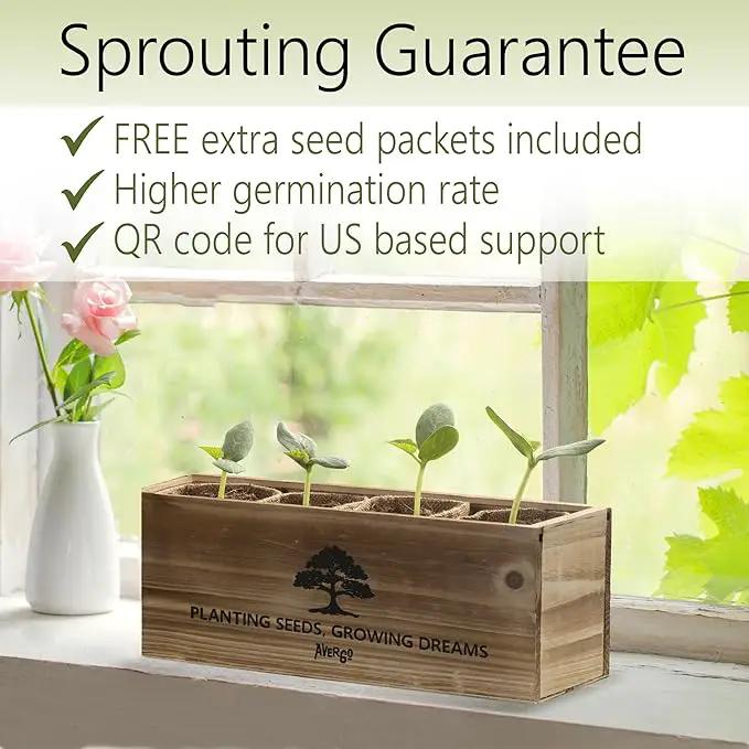 Bonsai Tree Kit – 4X Unique Japanese Bonzai Trees | Complete Indoor Starter Kit for Growing Bonsai Plants with Tools & Planters – Gardening Gifts for Women & Men by GreenHaven Gardens