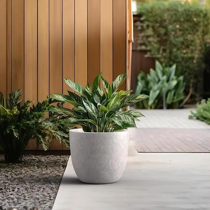 Kante 14 Inch Dia Round Concrete Planter, Indoor Outdoor Large Plant Pot with Drainage Hole and Rubber Plug for Home Patio Garden, Light Gray by GreenHaven Gardens